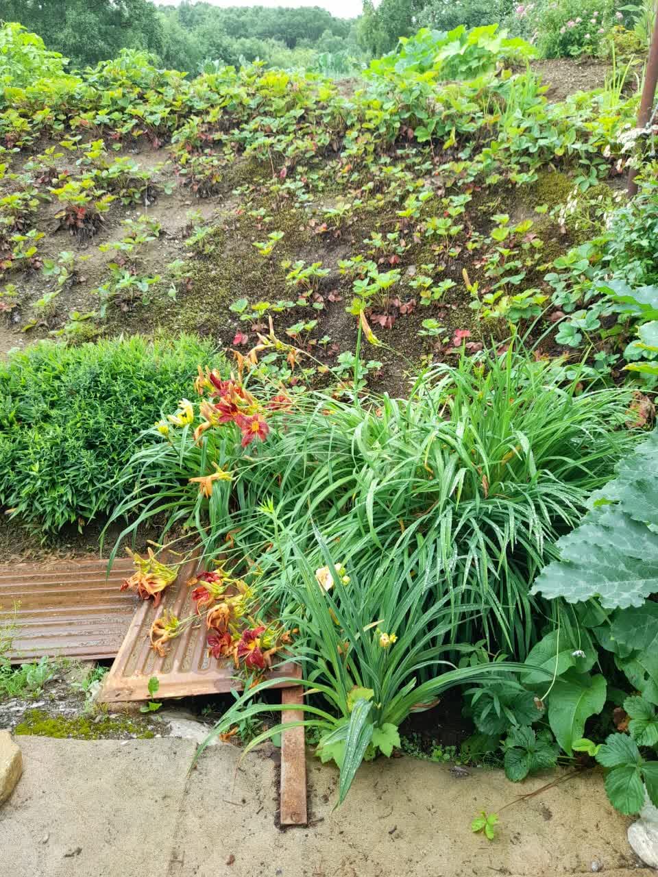 Продажа участка, Южно-Сахалинск, Сахалинская область,  