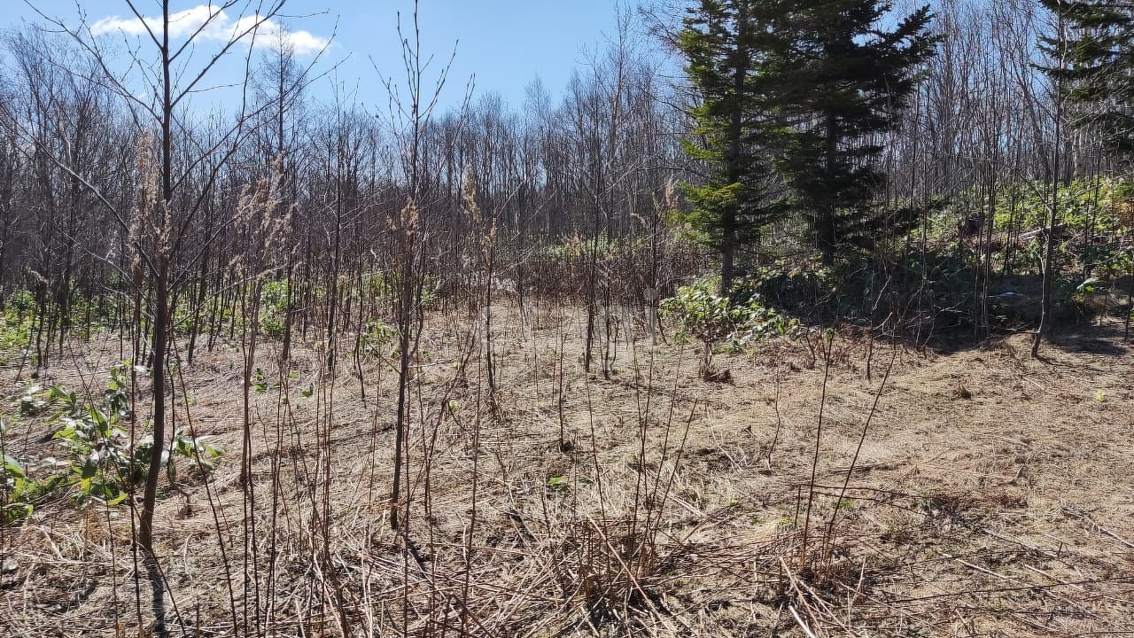 Продажа участка, Южно-Сахалинск, Сахалинская область,  Южно-Сахалинск