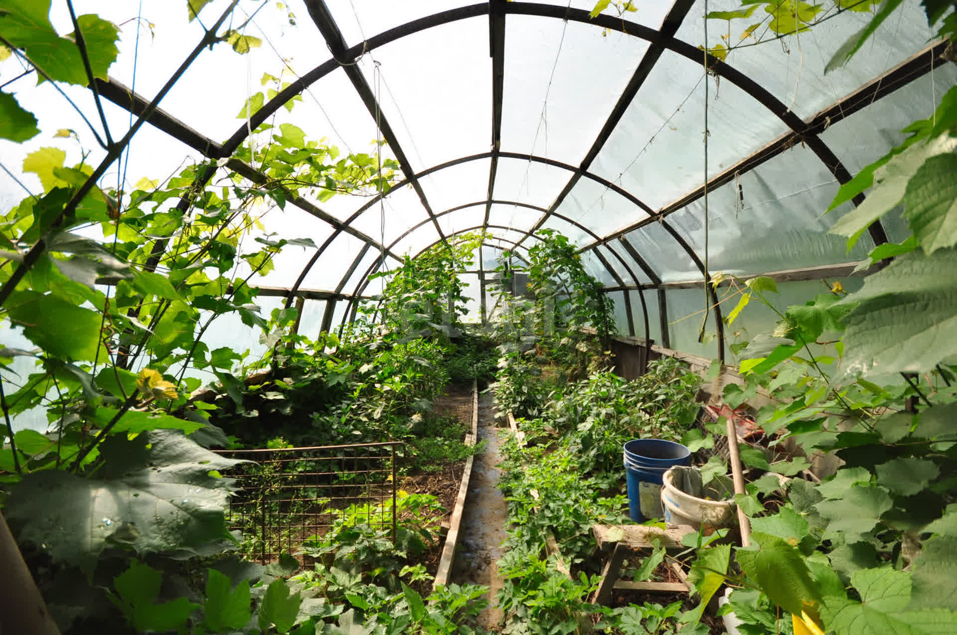 Продажа дома, 126м <sup>2</sup>, 6 сот., Южно-Сахалинск, Сахалинская область,  