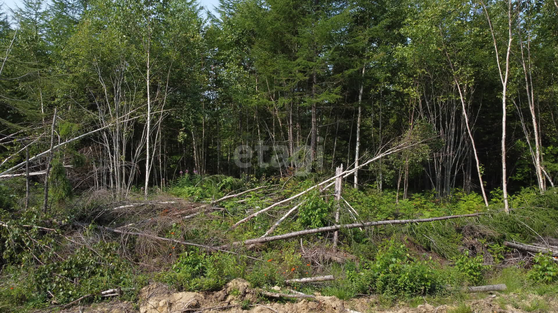 Продажа участка, Южно-Сахалинск, Сахалинская область,  Южно-Сахалинск