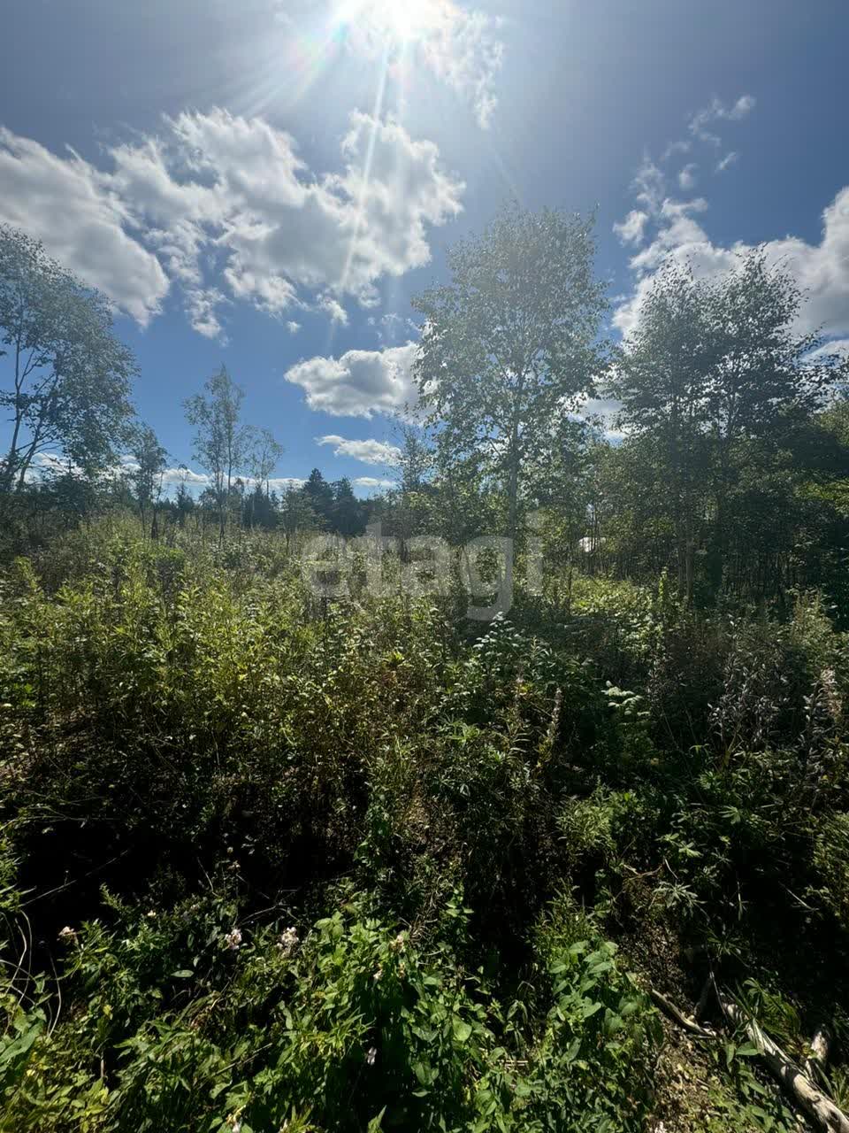 Продажа участка, Южно-Сахалинск, Сахалинская область,  Южно-Сахалинск