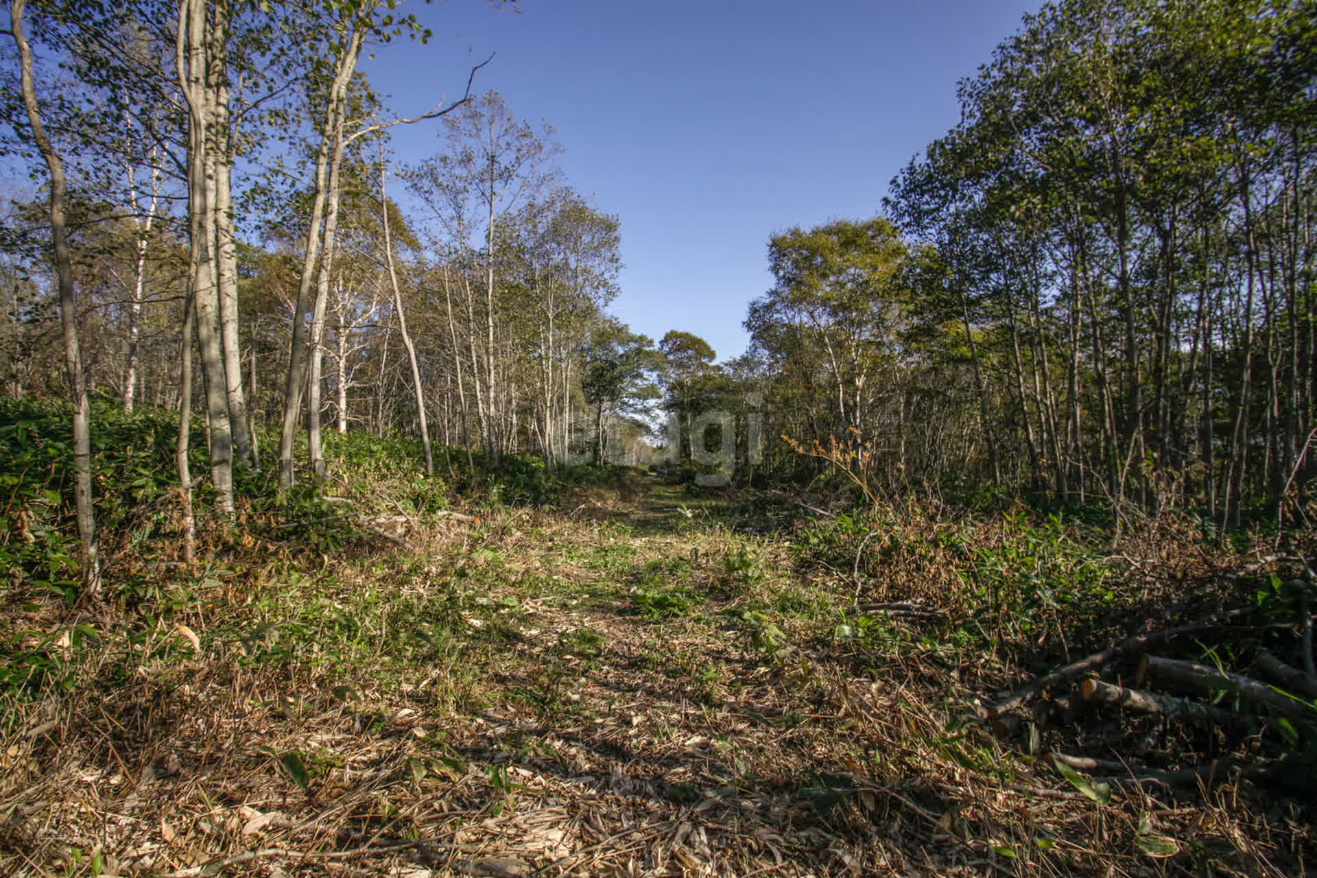 Продажа участка, Южно-Сахалинск, Сахалинская область,  Южно-Сахалинск