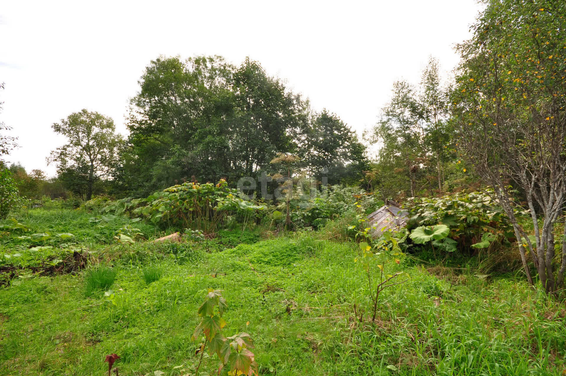 Продажа дачи, 8м <sup>2</sup>, 6 сот., Южно-Сахалинск, Сахалинская область,  Южно-Сахалинск