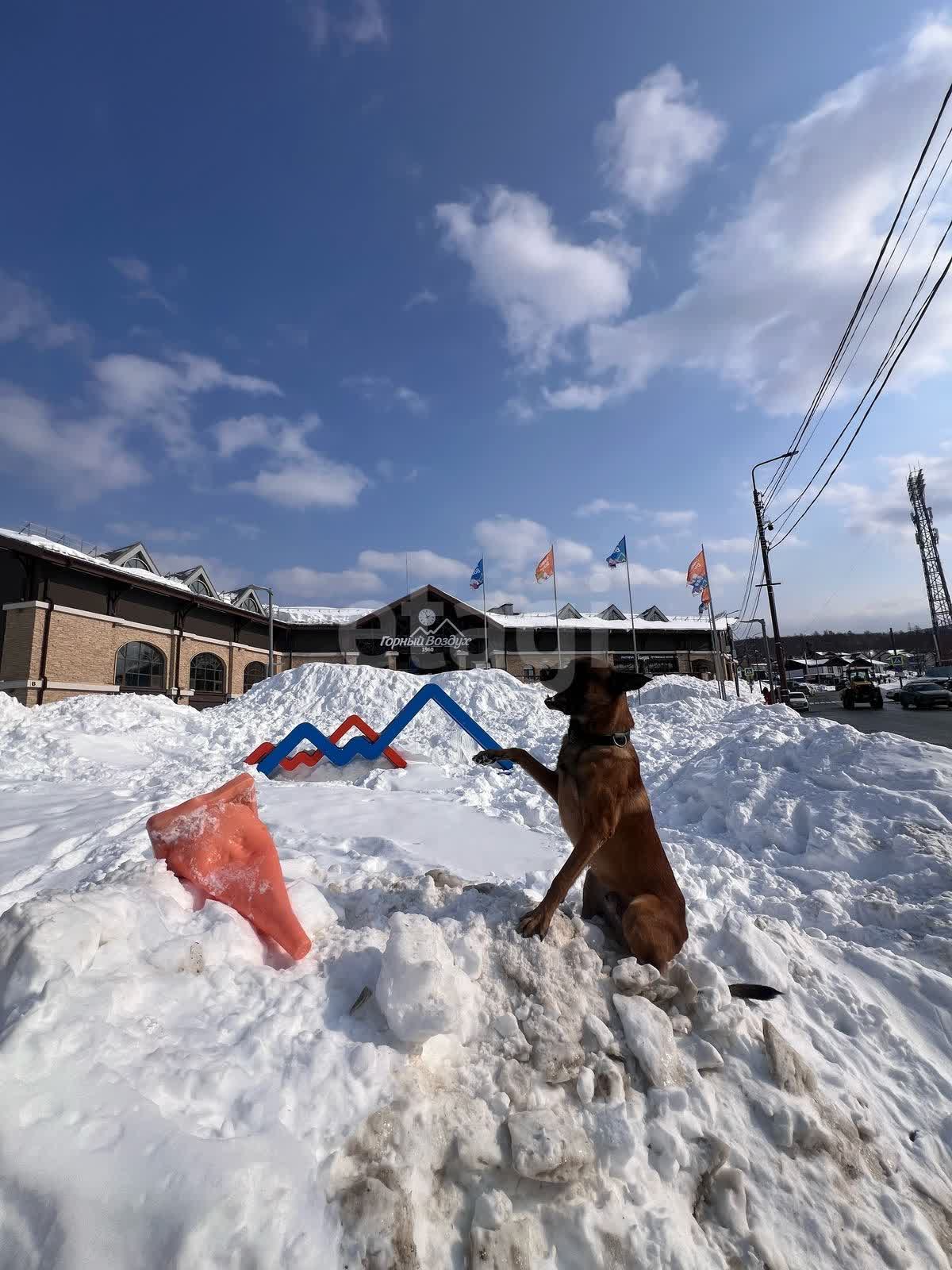 Продажа участка, Южно-Сахалинск, Сахалинская область,  Южно-Сахалинск