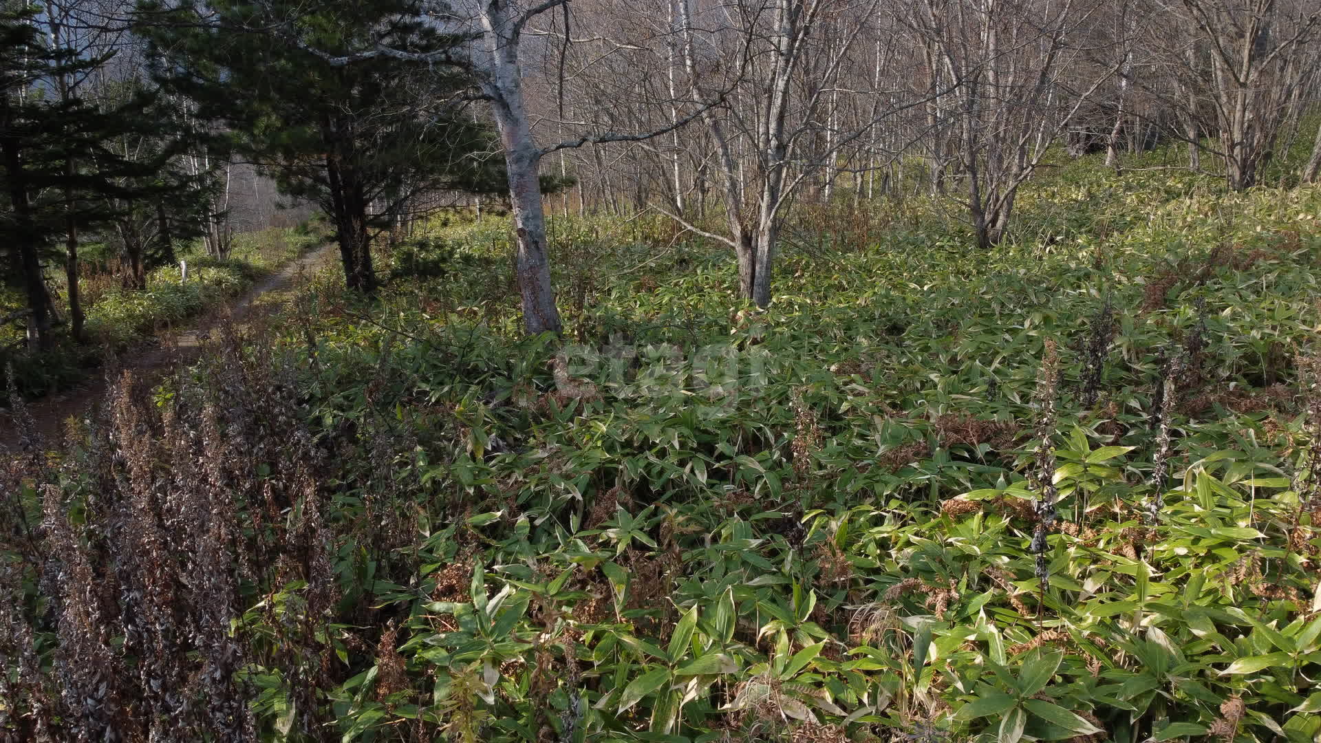Продажа участка, Южно-Сахалинск, Сахалинская область,  Южно-Сахалинск