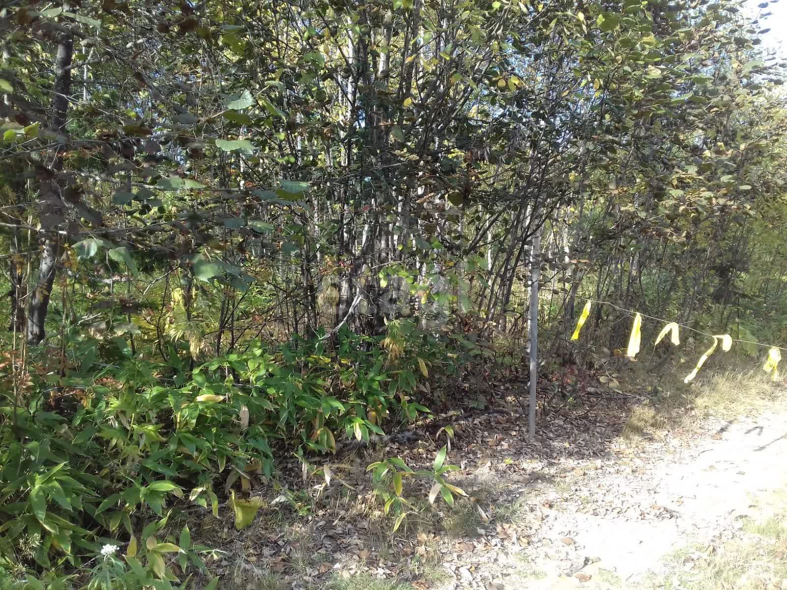 Продажа участка, Южно-Сахалинск, Сахалинская область,  Южно-Сахалинск