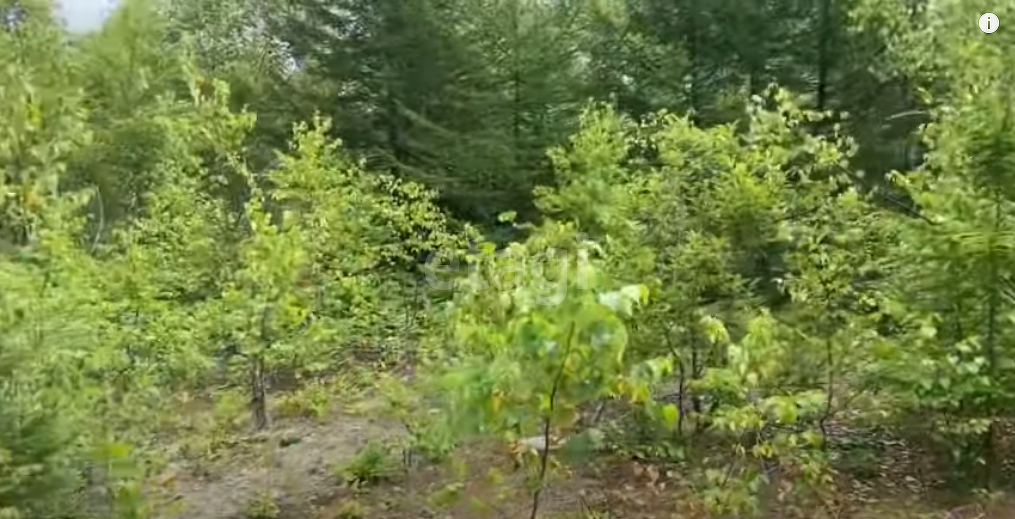 Продажа участка, Южно-Сахалинск, Сахалинская область,  Южно-Сахалинск