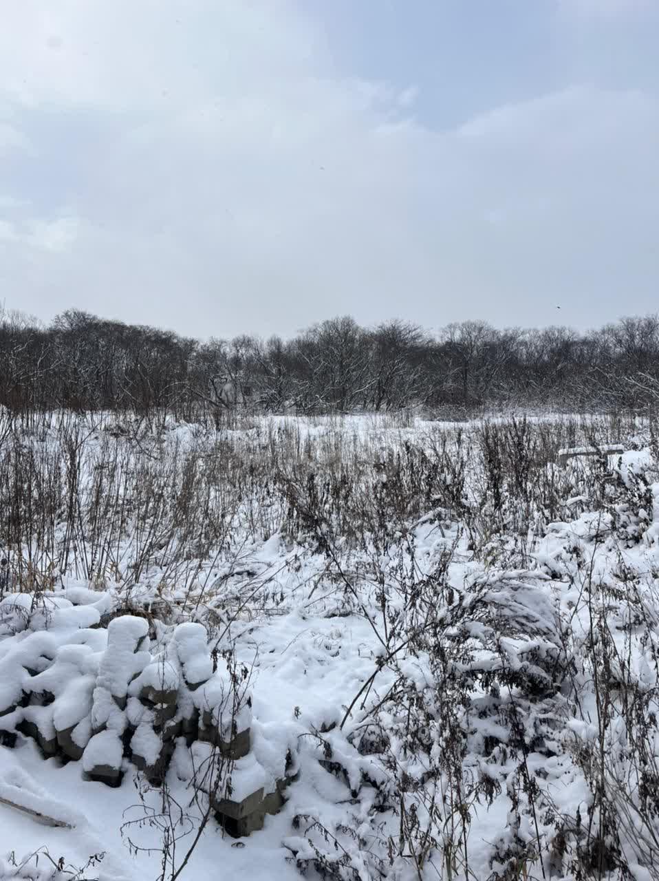 Продажа участка, Южно-Сахалинск, Сахалинская область,  