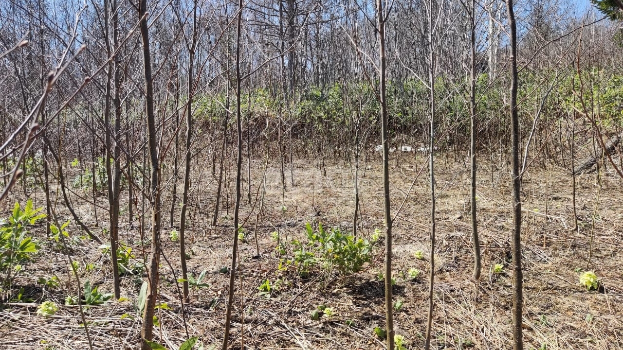 Продажа участка, Южно-Сахалинск, Сахалинская область,  Южно-Сахалинск