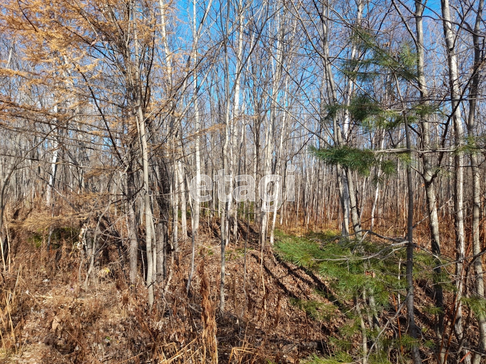 Продажа участка, Южно-Сахалинск, Сахалинская область,  