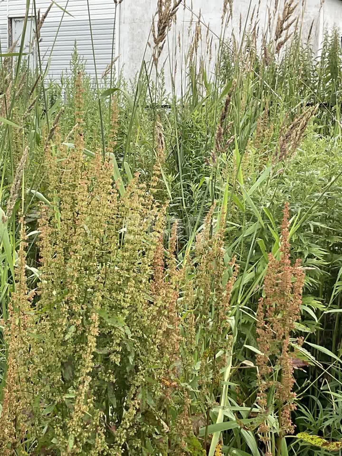 Продажа участка, Южно-Сахалинск, Сахалинская область,  