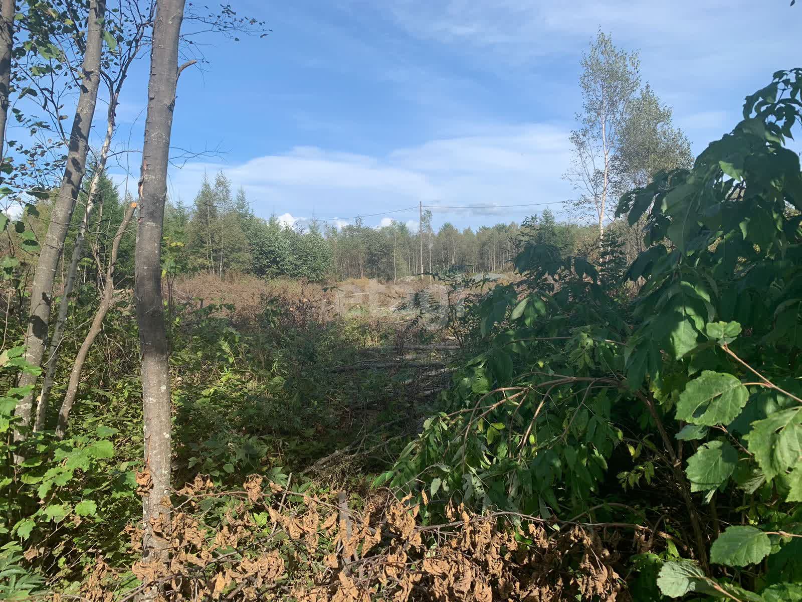 Продажа участка, Южно-Сахалинск, Сахалинская область,  