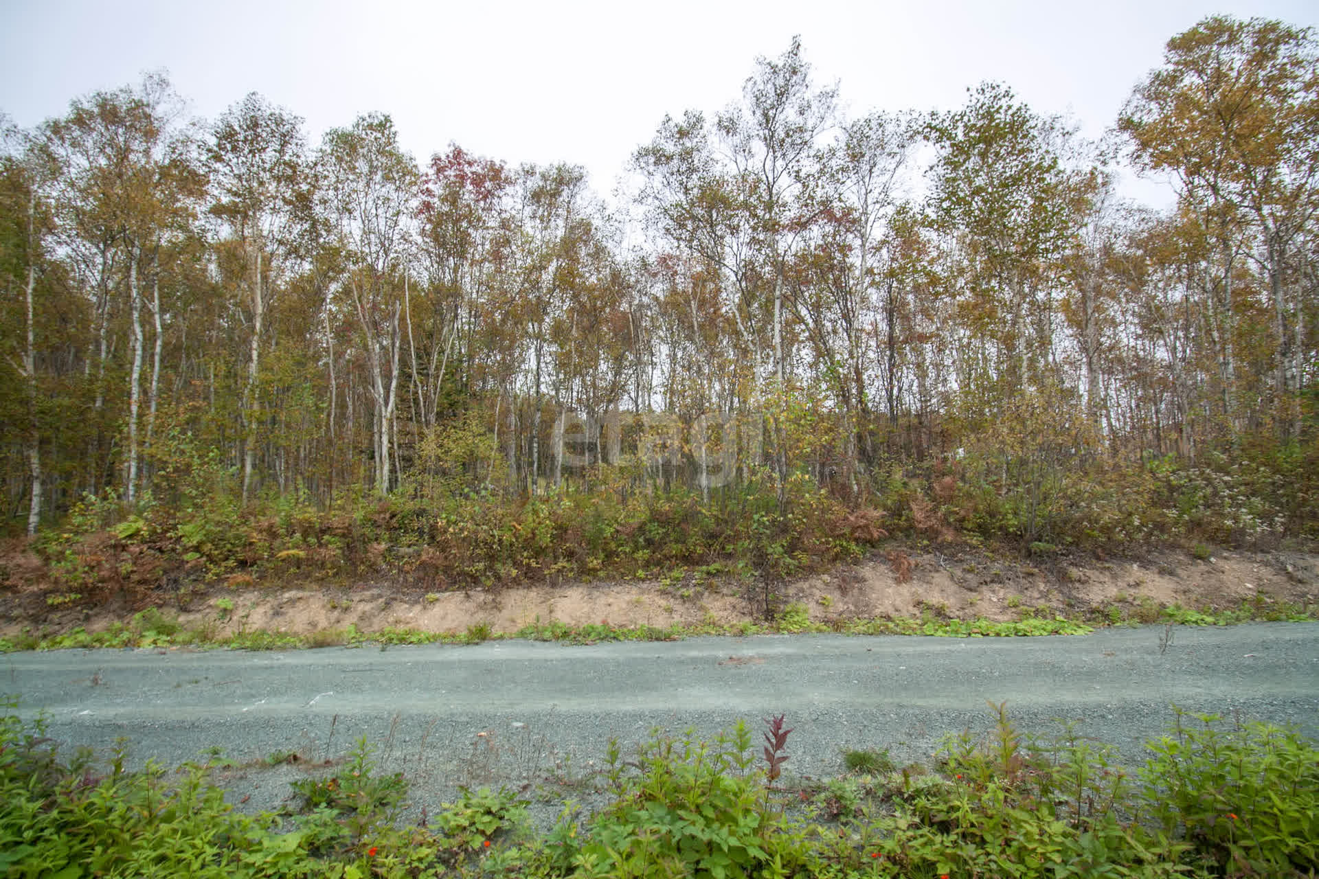 Продажа участка, Южно-Сахалинск, Сахалинская область,  