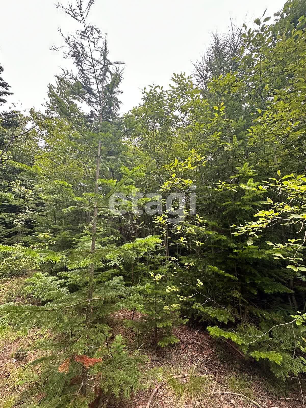 Продажа участка, Южно-Сахалинск, Сахалинская область,  Южно-Сахалинск