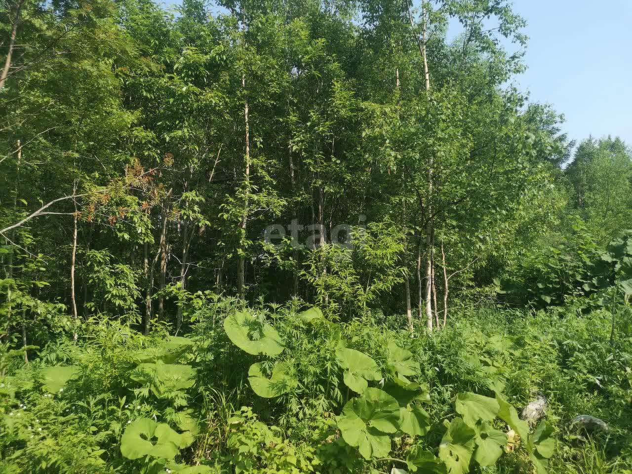 Продажа участка, Южно-Сахалинск, Сахалинская область,  Южно-Сахалинск