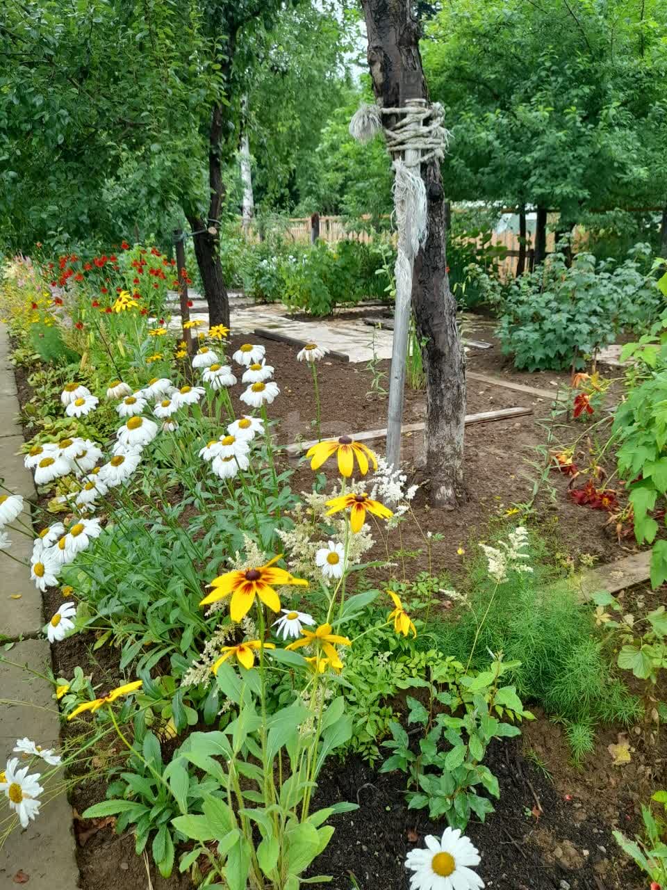 Продажа участка, Южно-Сахалинск, Сахалинская область,  