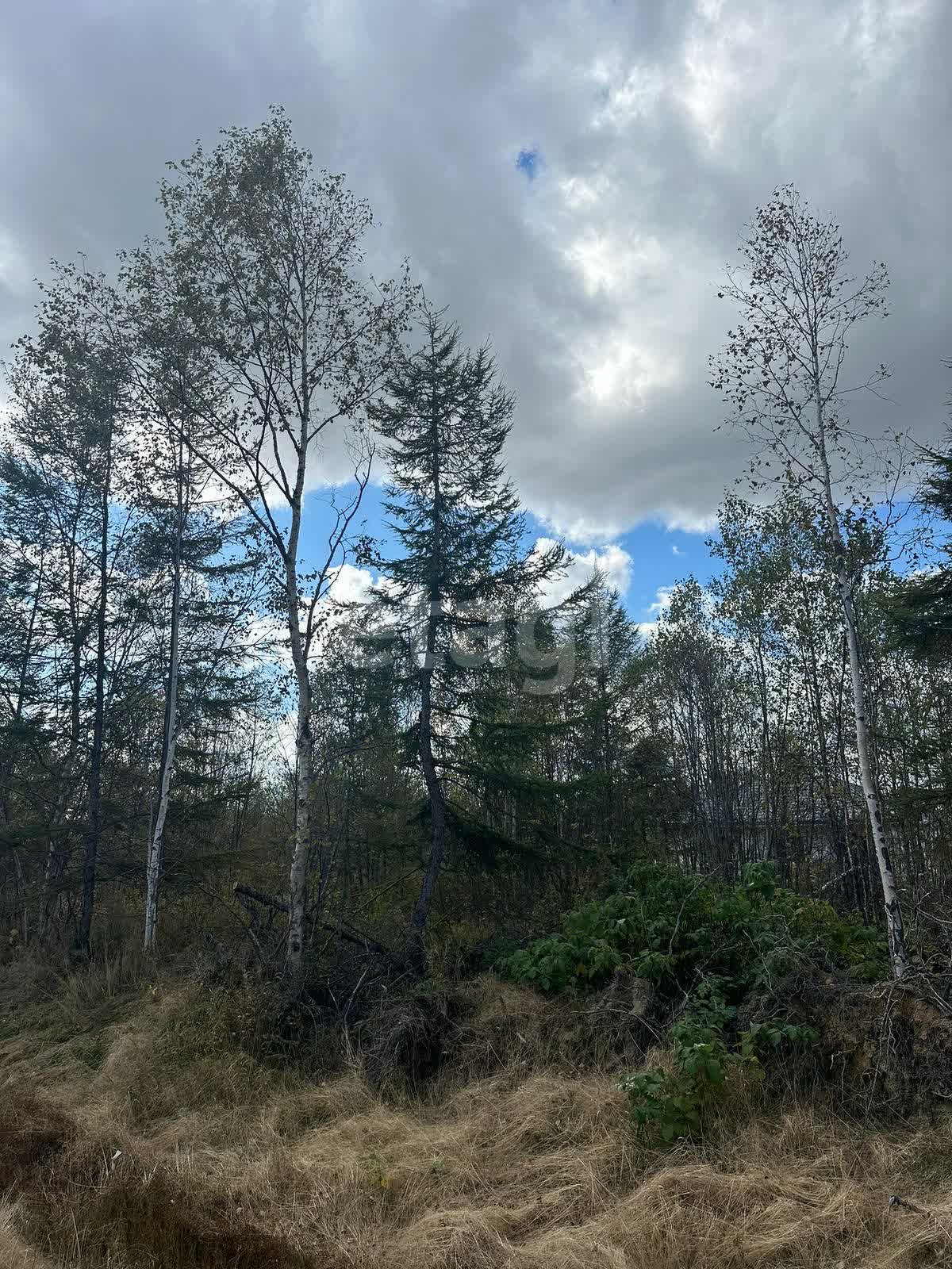 Продажа участка, Южно-Сахалинск, Сахалинская область,  Южно-Сахалинск