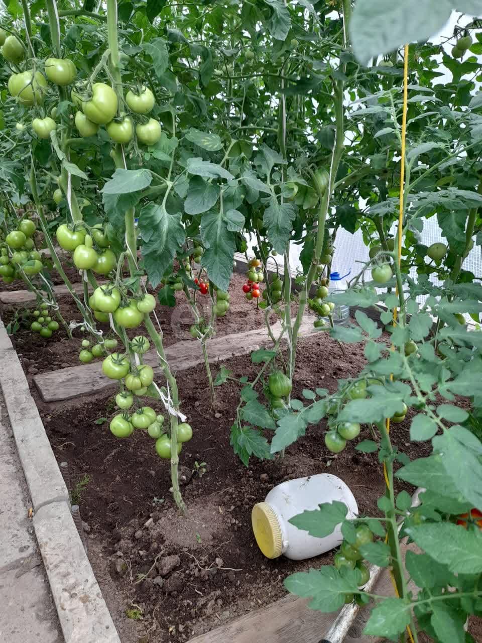 Продажа участка, Южно-Сахалинск, Сахалинская область,  