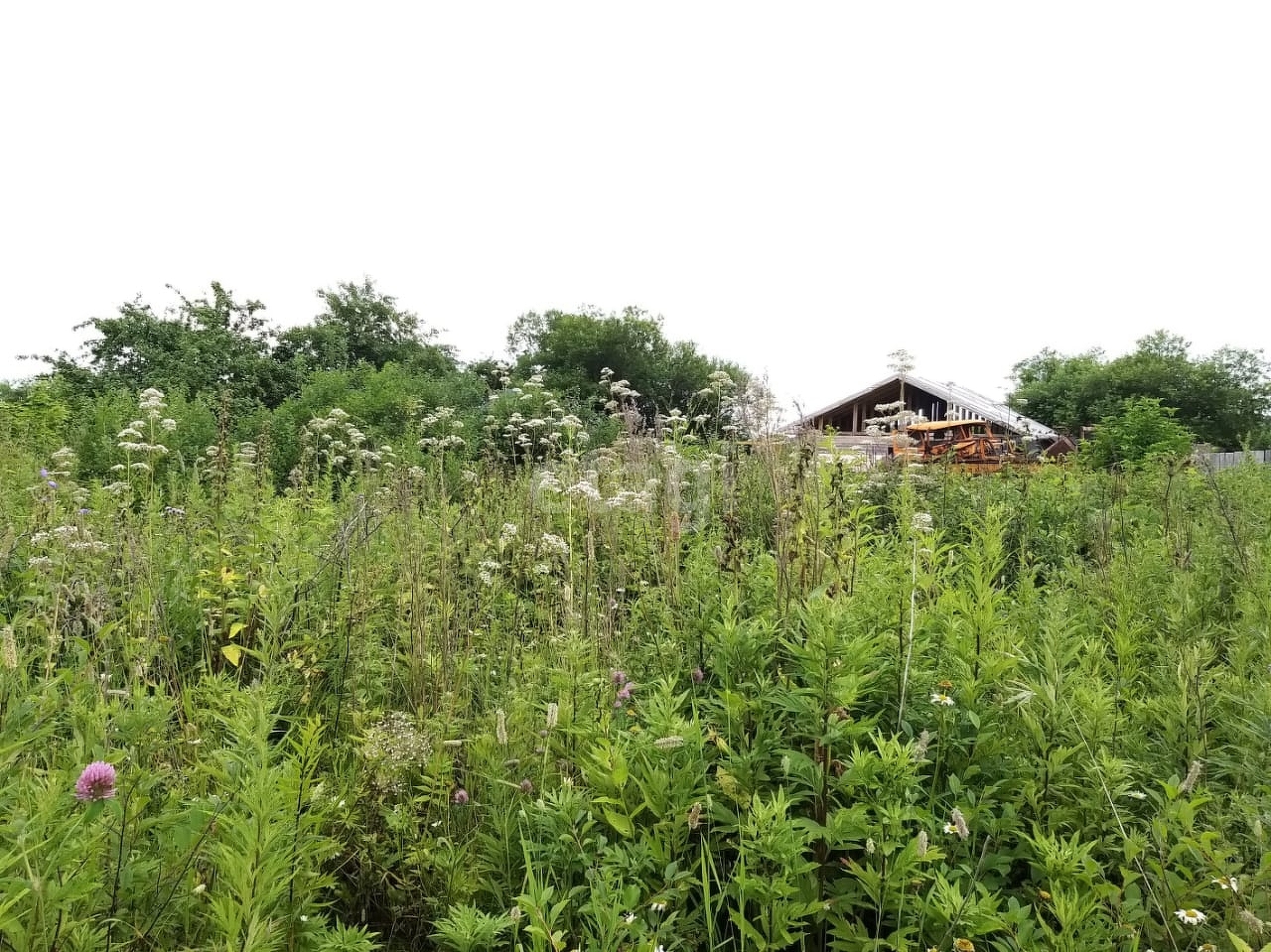 Продажа участка, Южно-Сахалинск, Сахалинская область,  