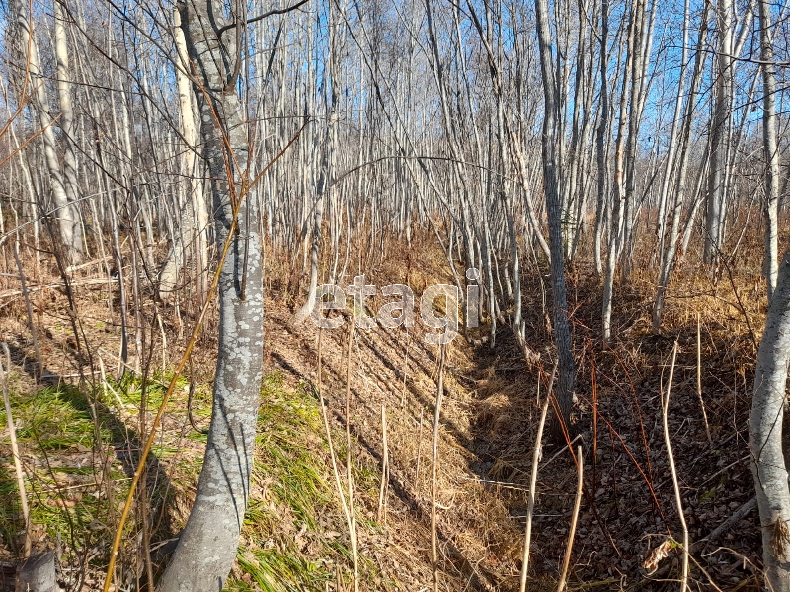 Продажа участка, Южно-Сахалинск, Сахалинская область,  