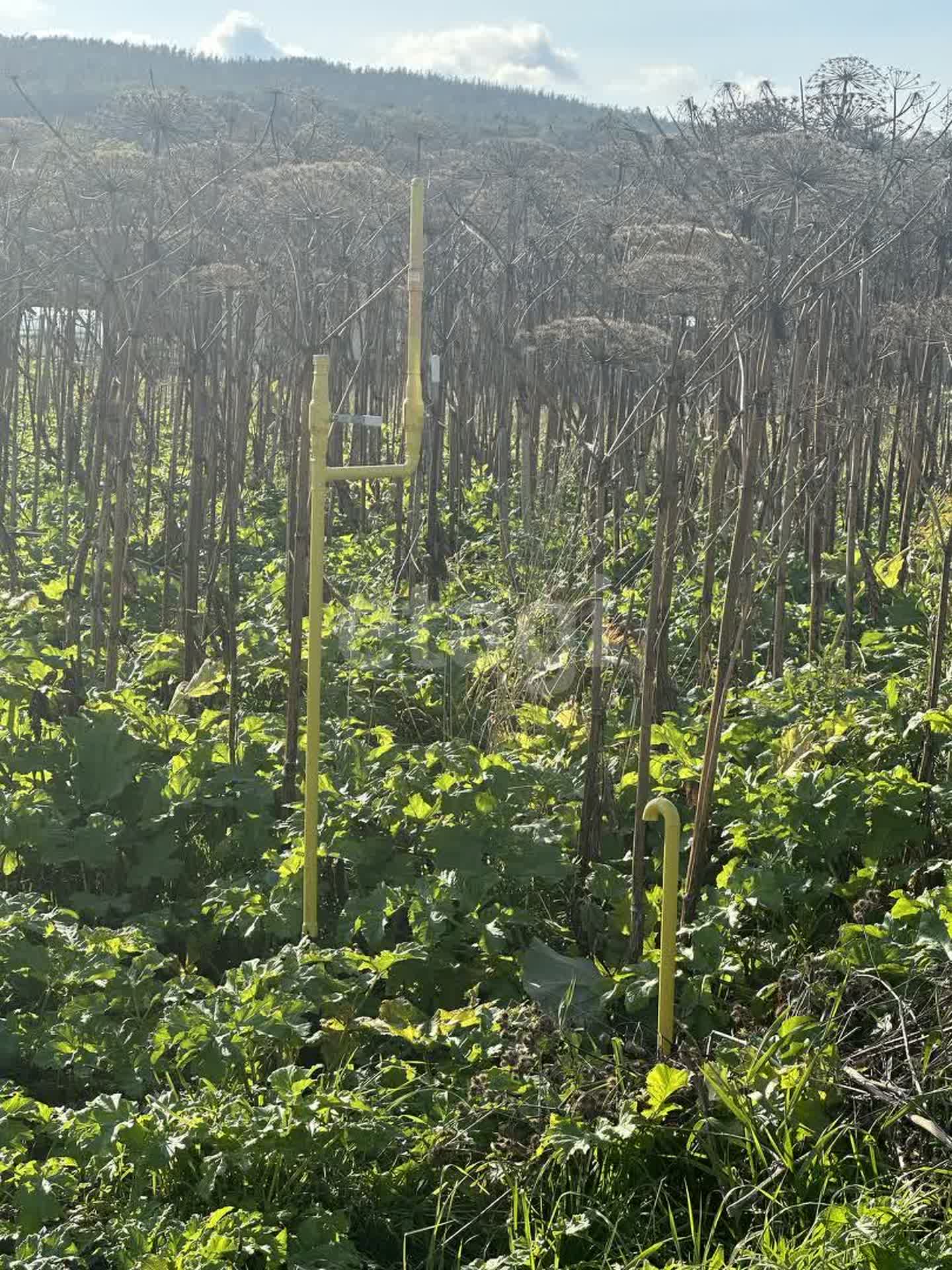 Продажа участка, Южно-Сахалинск, Сахалинская область,  