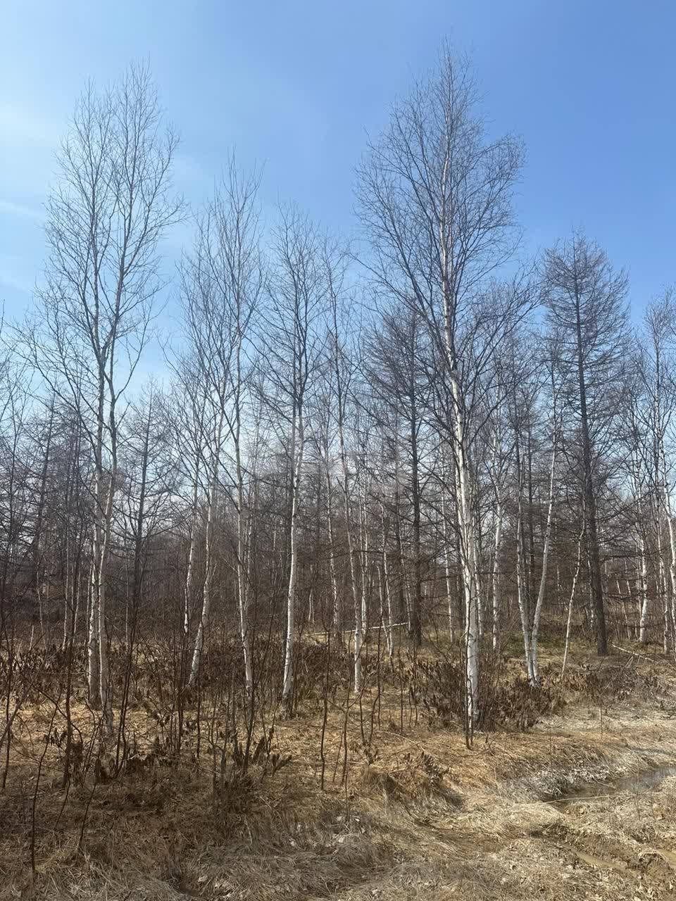 Продажа участка, Южно-Сахалинск, Сахалинская область,  Южно-Сахалинск