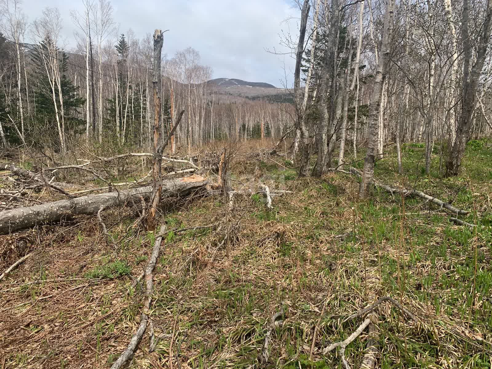 Продажа участка, Южно-Сахалинск, Сахалинская область,  Южно-Сахалинск