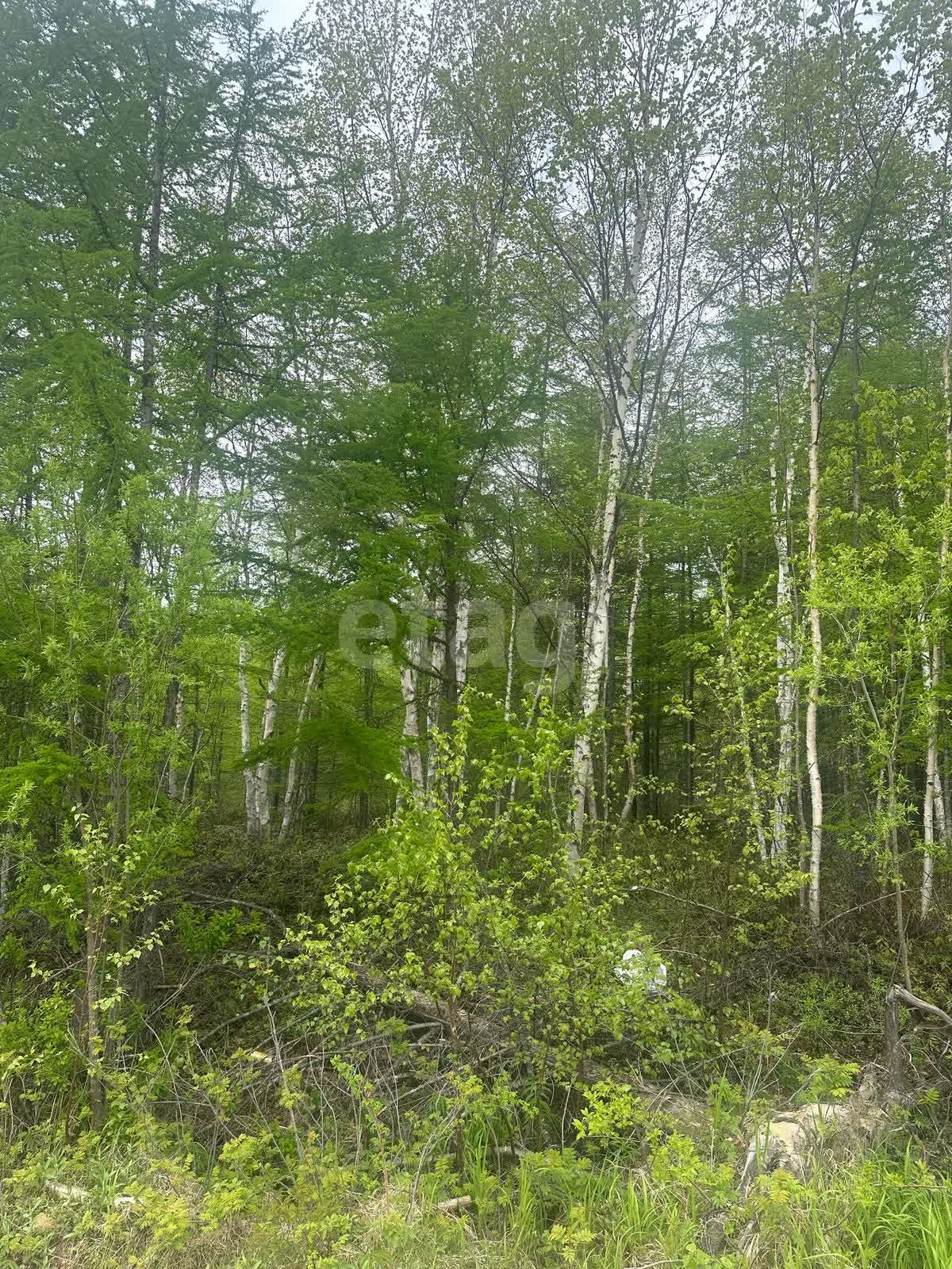 Продажа участка, Южно-Сахалинск, Сахалинская область,  Южно-Сахалинск