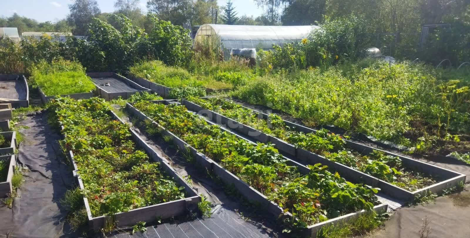 Продажа дачи, 20м <sup>2</sup>, 7 сот., Южно-Сахалинск, Сахалинская область,  Южно-Сахалинск