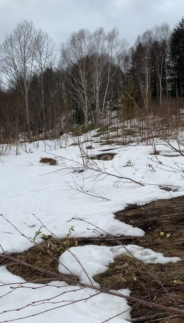 Продажа участка, Южно-Сахалинск, Сахалинская область,  