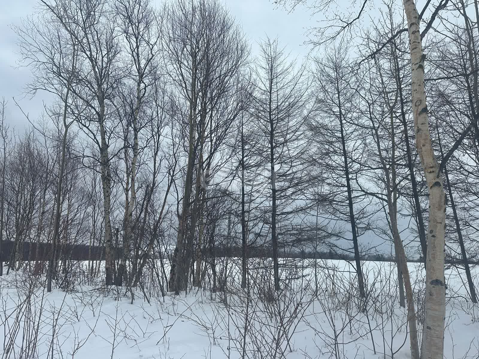 Продажа участка, Южно-Сахалинск, Сахалинская область,  Южно-Сахалинск