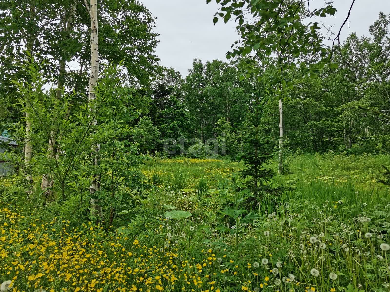 Продажа участка, Южно-Сахалинск, Сахалинская область,  Южно-Сахалинск