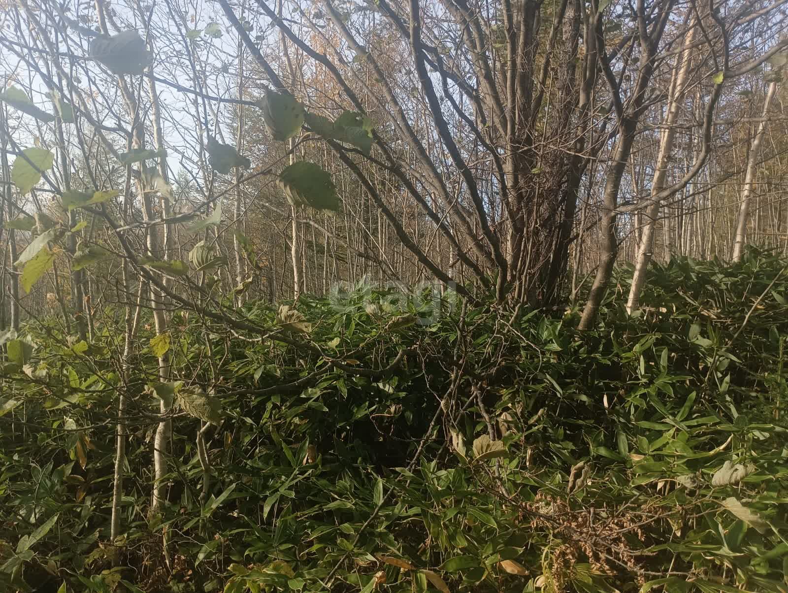 Продажа участка, Южно-Сахалинск, Сахалинская область,  Южно-Сахалинск