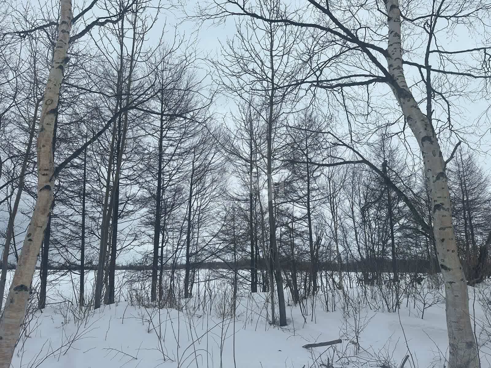 Продажа участка, Южно-Сахалинск, Сахалинская область,  Южно-Сахалинск