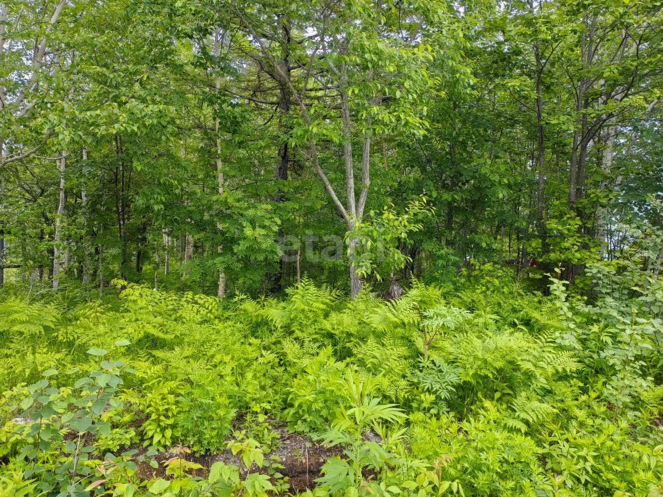 Продажа участка, Южно-Сахалинск, Сахалинская область,  Южно-Сахалинск