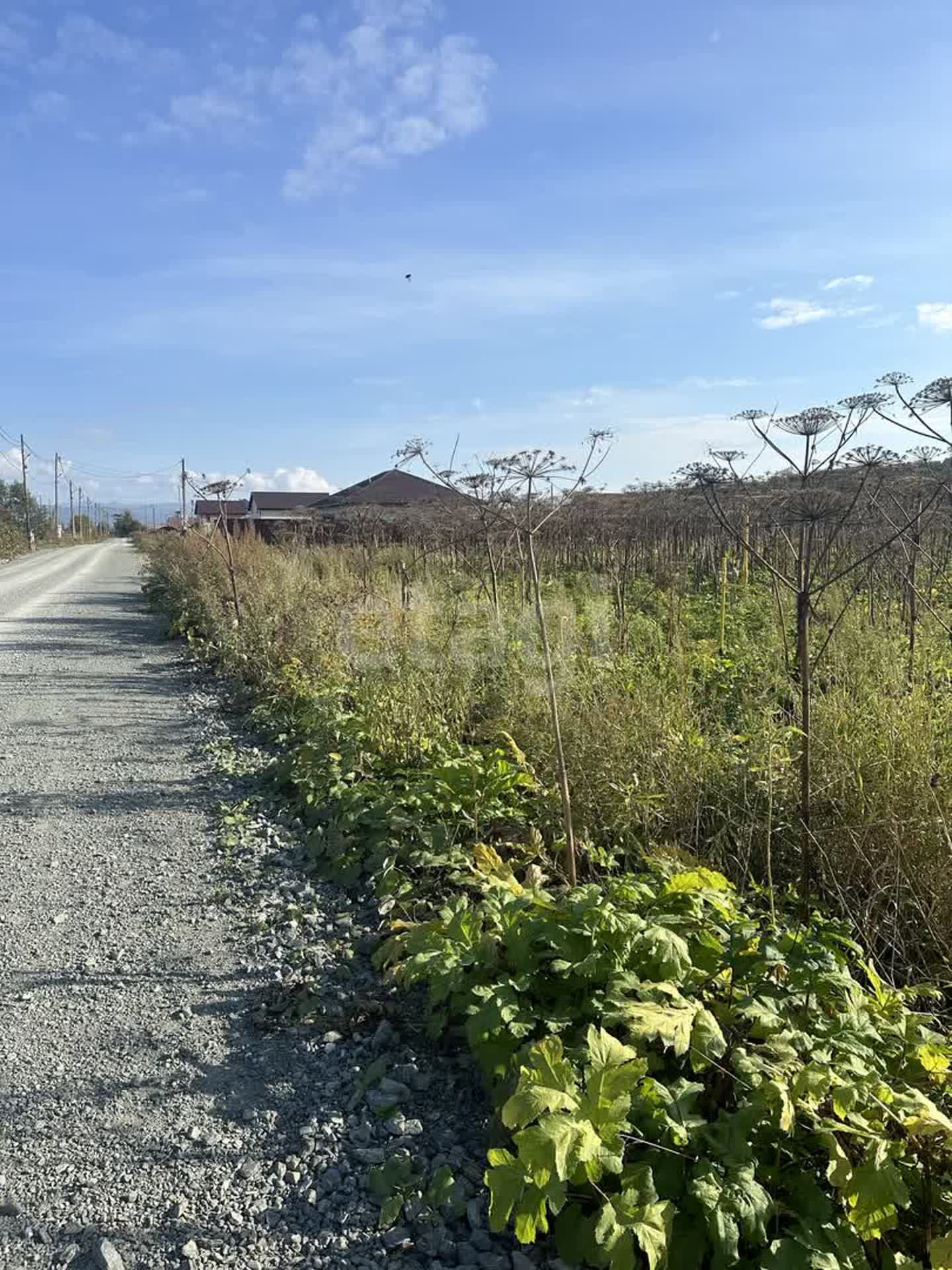 Продажа участка, Южно-Сахалинск, Сахалинская область,  