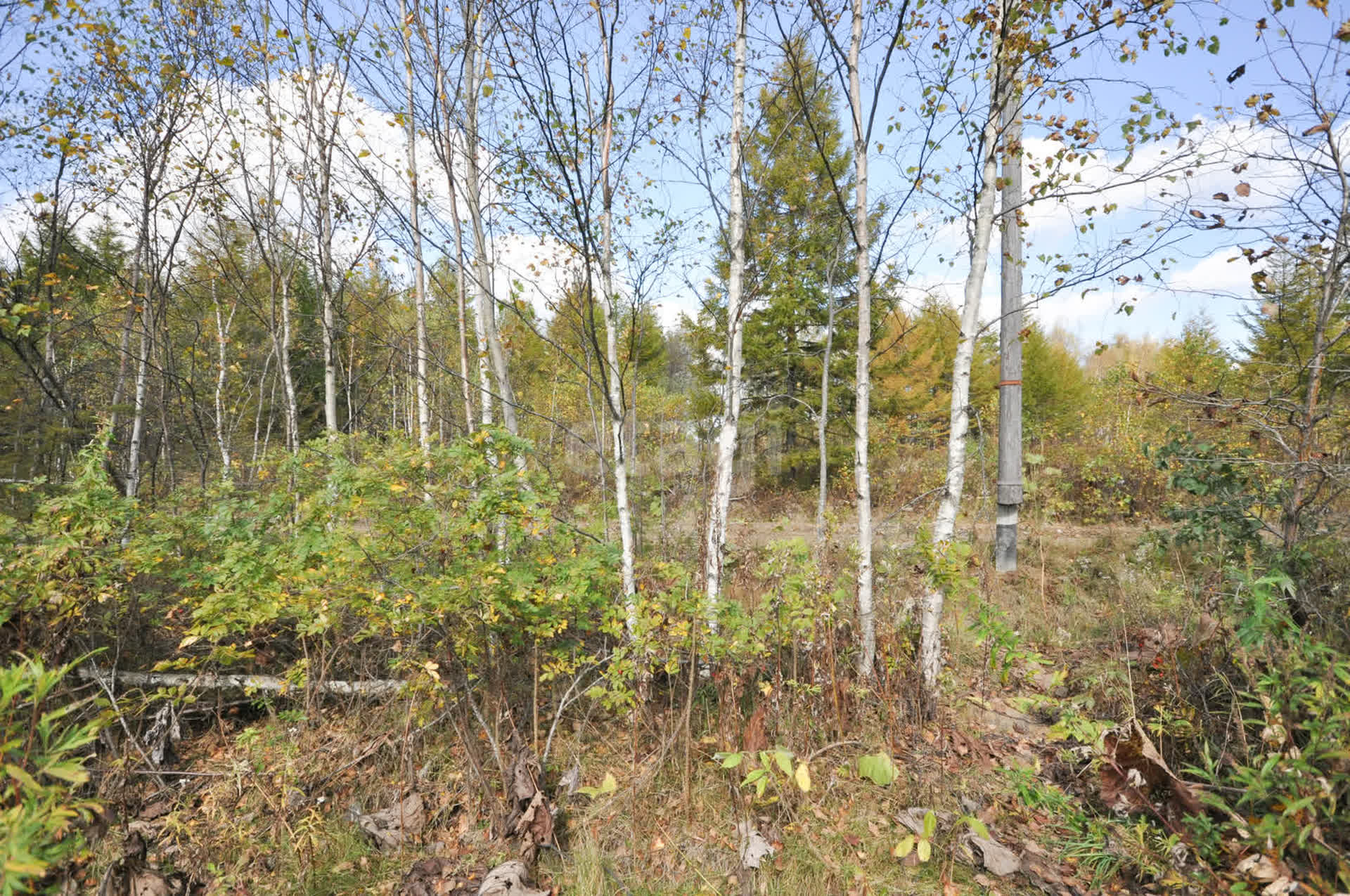 Продажа участка, Южно-Сахалинск, Сахалинская область,  Южно-Сахалинск