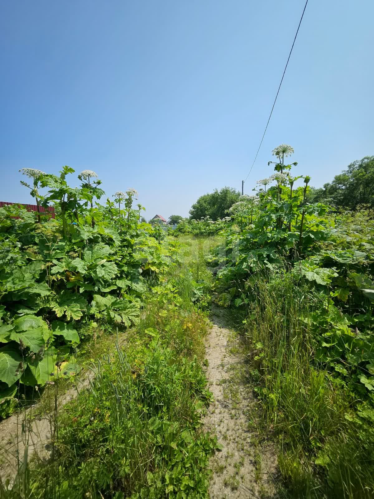 Продажа участка, Южно-Сахалинск, Сахалинская область,  