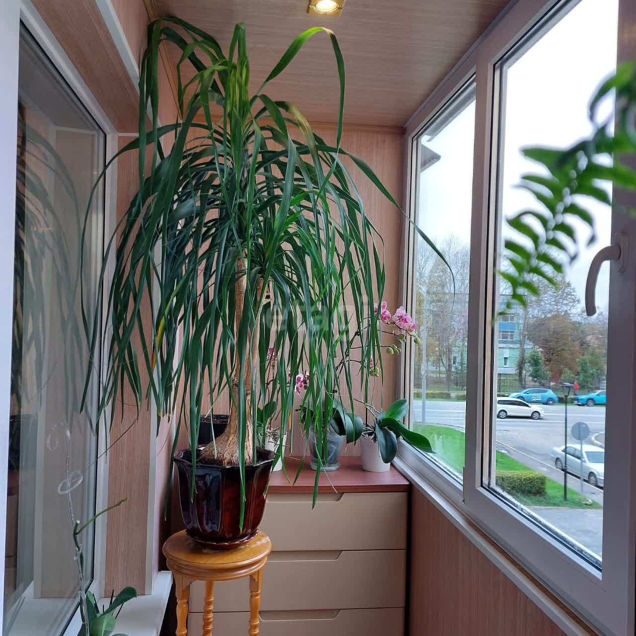 Продажа 2-комнатной квартиры, Южно-Сахалинск, Сахалинская область,  Южно-Сахалинск