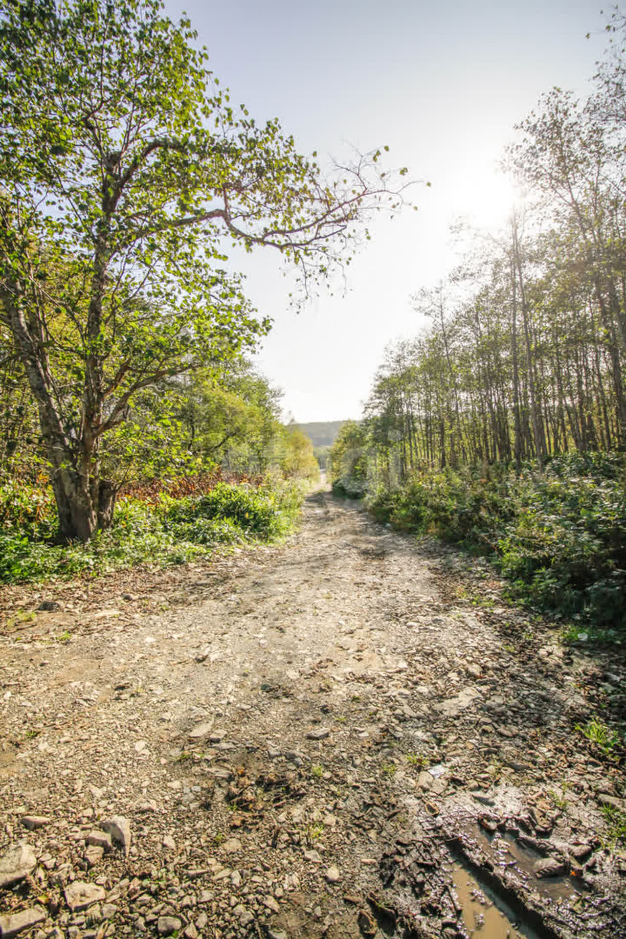 Продажа участка, Южно-Сахалинск, Сахалинская область,  Южно-Сахалинск