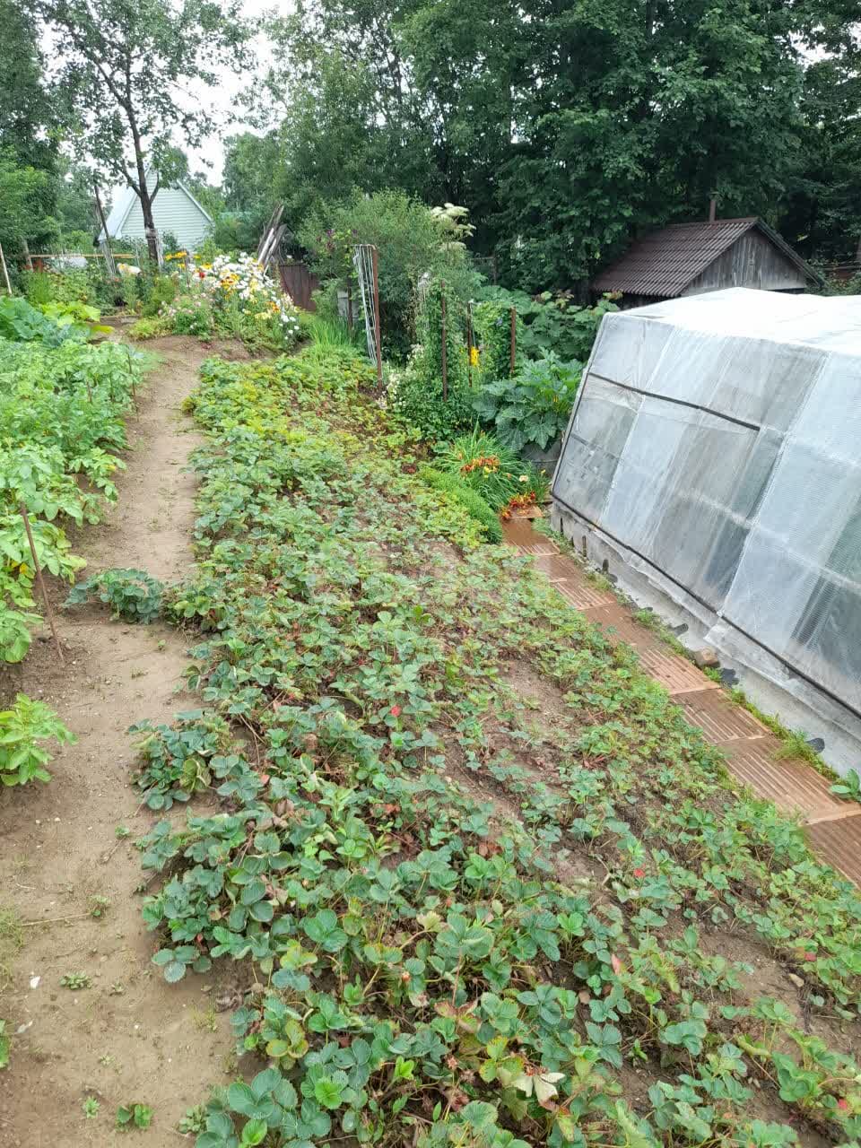 Продажа участка, Южно-Сахалинск, Сахалинская область,  