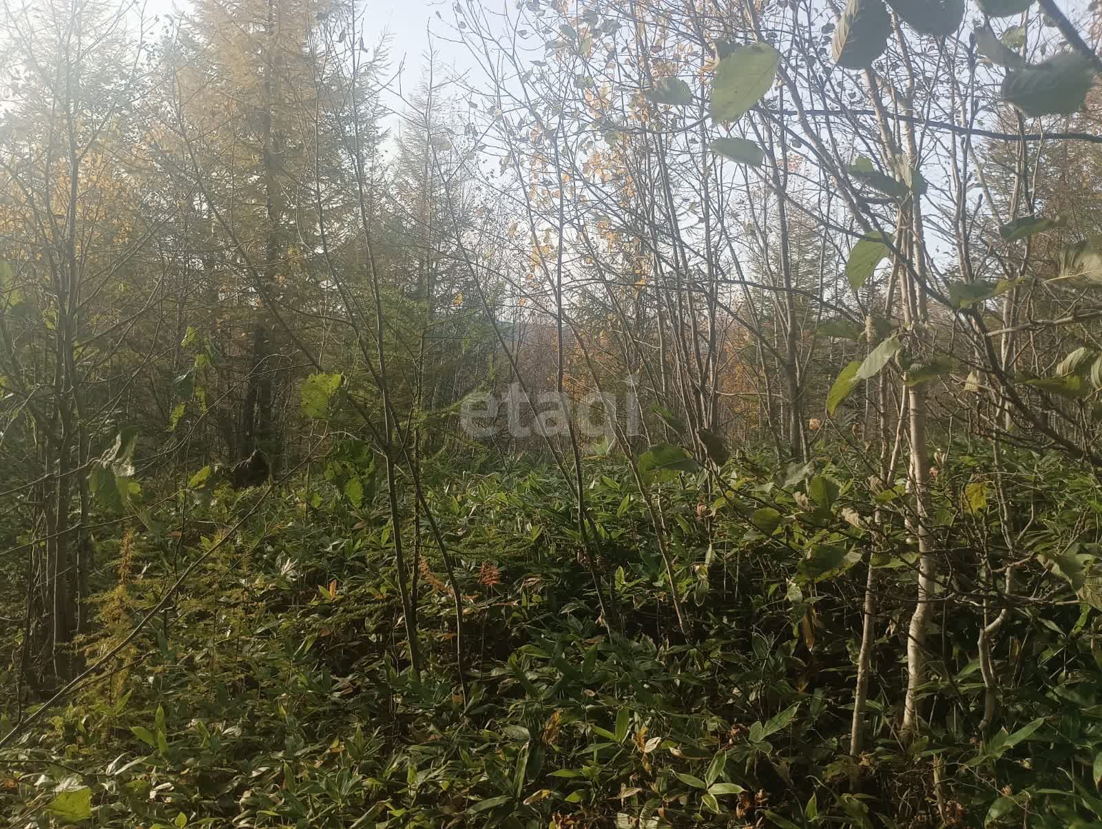 Продажа участка, Южно-Сахалинск, Сахалинская область,  Южно-Сахалинск