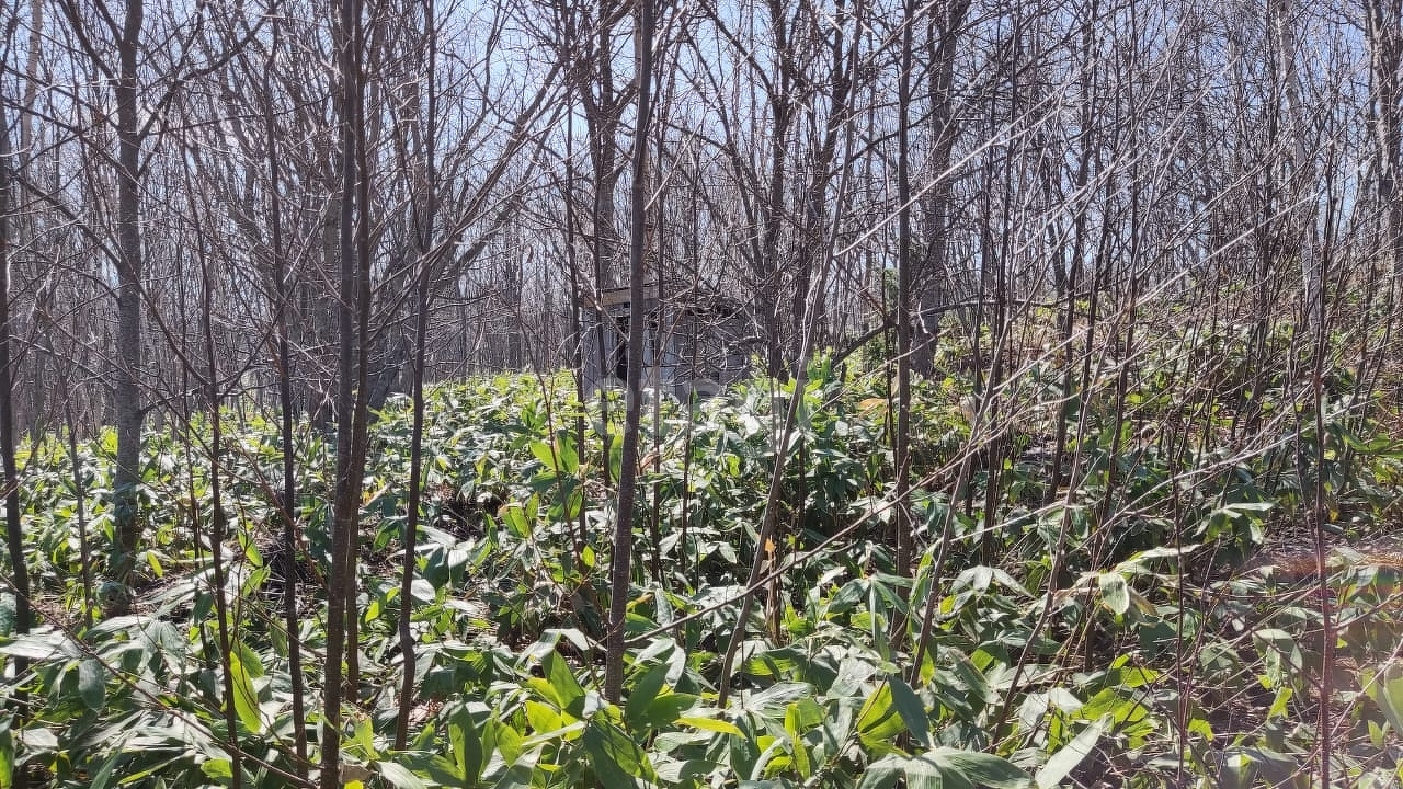 Продажа участка, Южно-Сахалинск, Сахалинская область,  Южно-Сахалинск