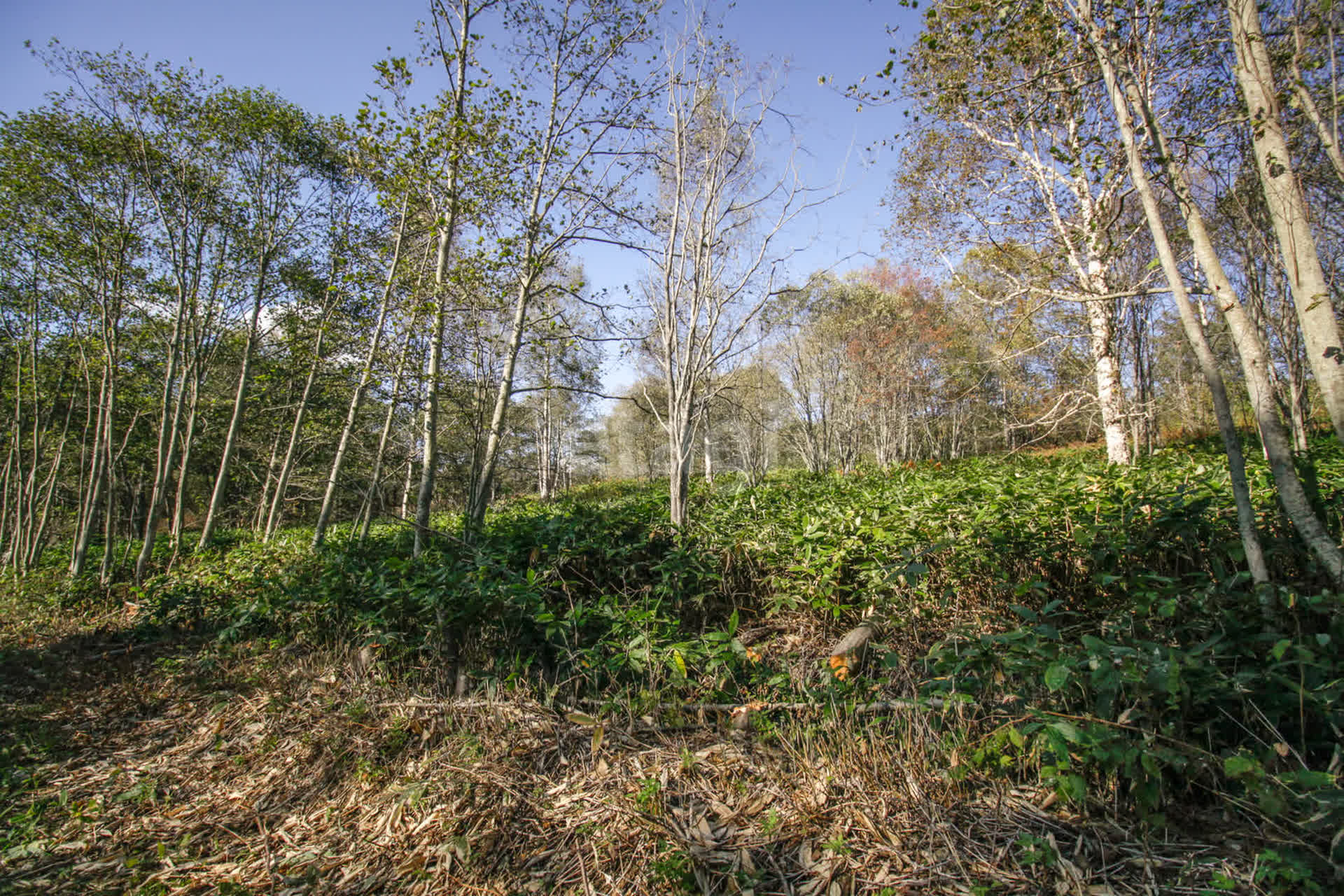 Продажа участка, Южно-Сахалинск, Сахалинская область,  Южно-Сахалинск