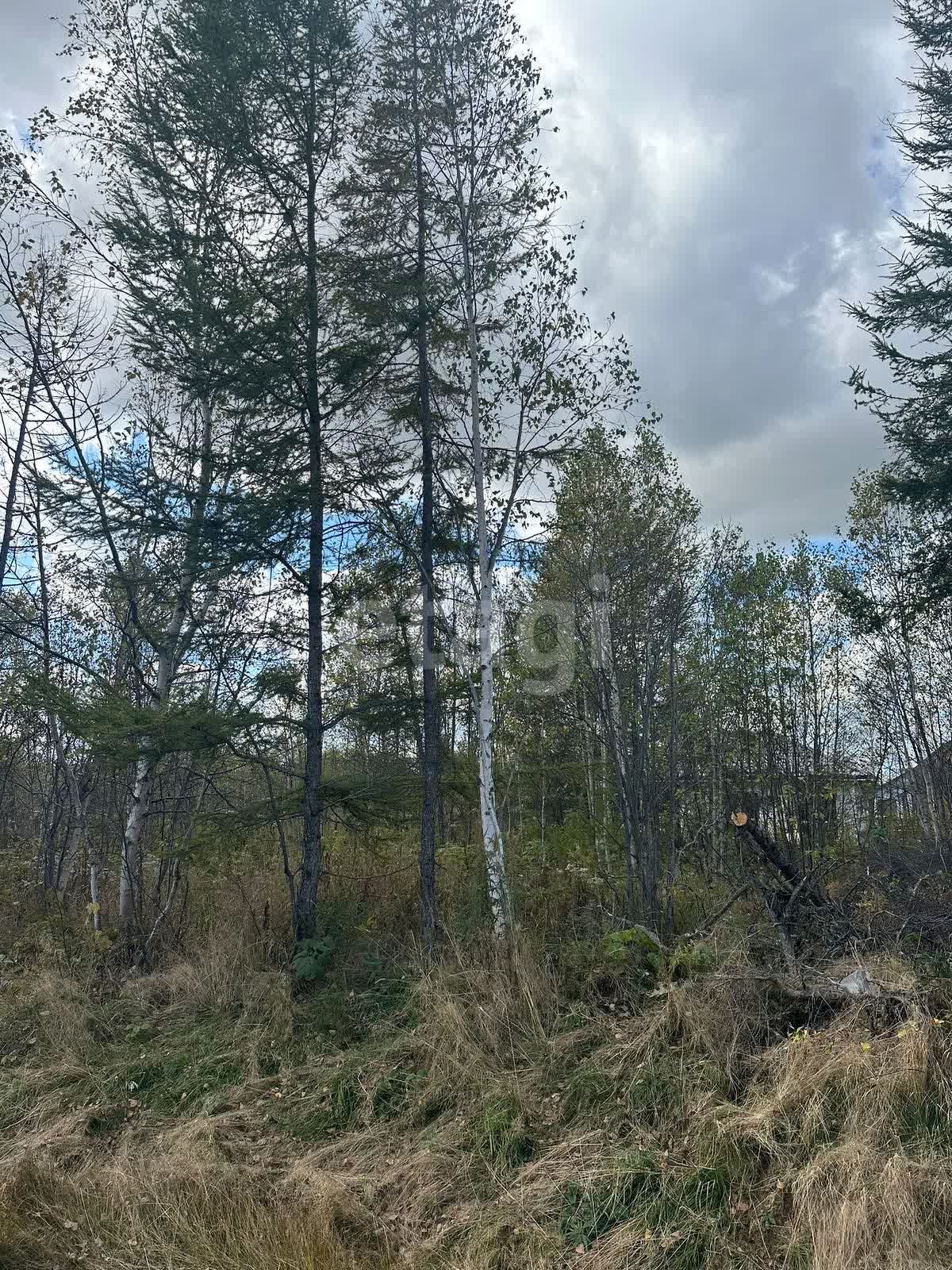 Продажа участка, Южно-Сахалинск, Сахалинская область,  Южно-Сахалинск