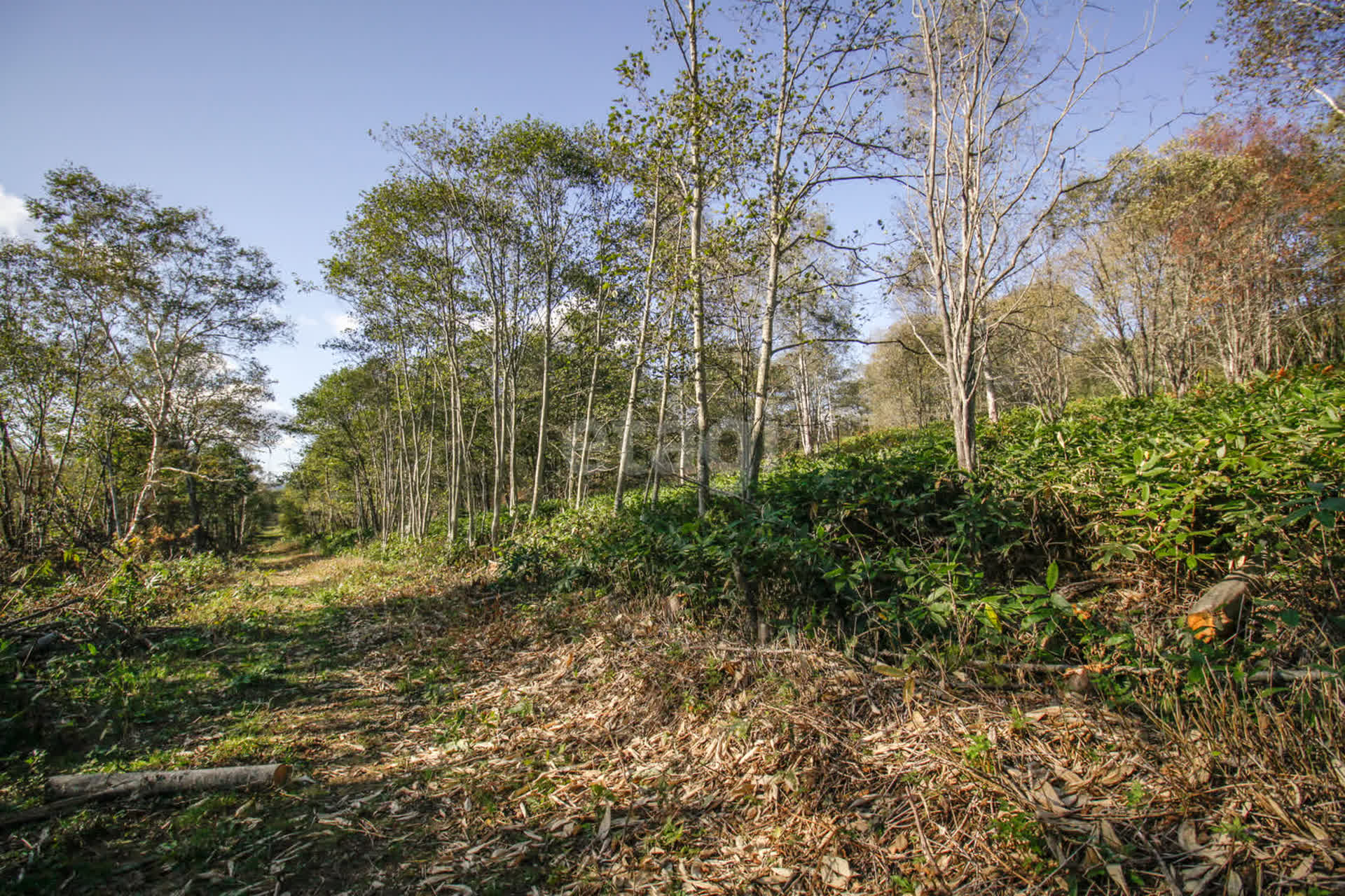 Продажа участка, Южно-Сахалинск, Сахалинская область,  Южно-Сахалинск