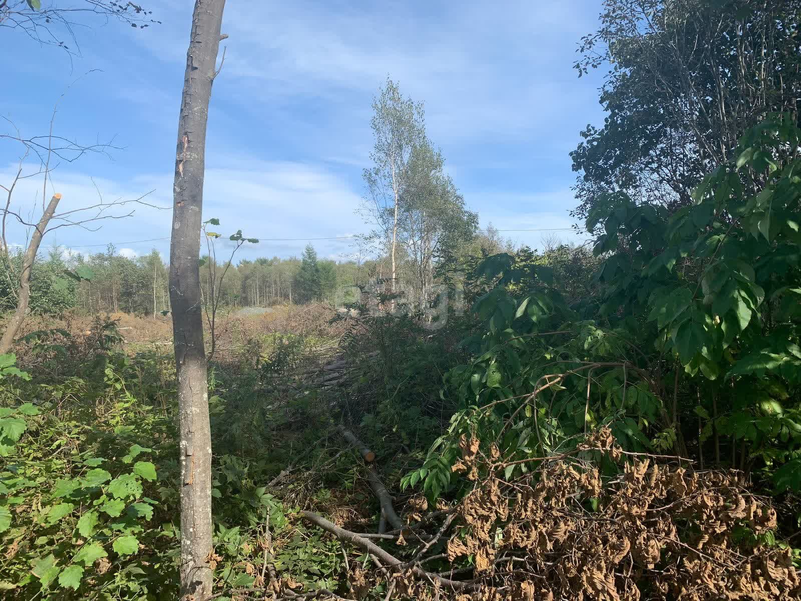 Продажа участка, Южно-Сахалинск, Сахалинская область,  