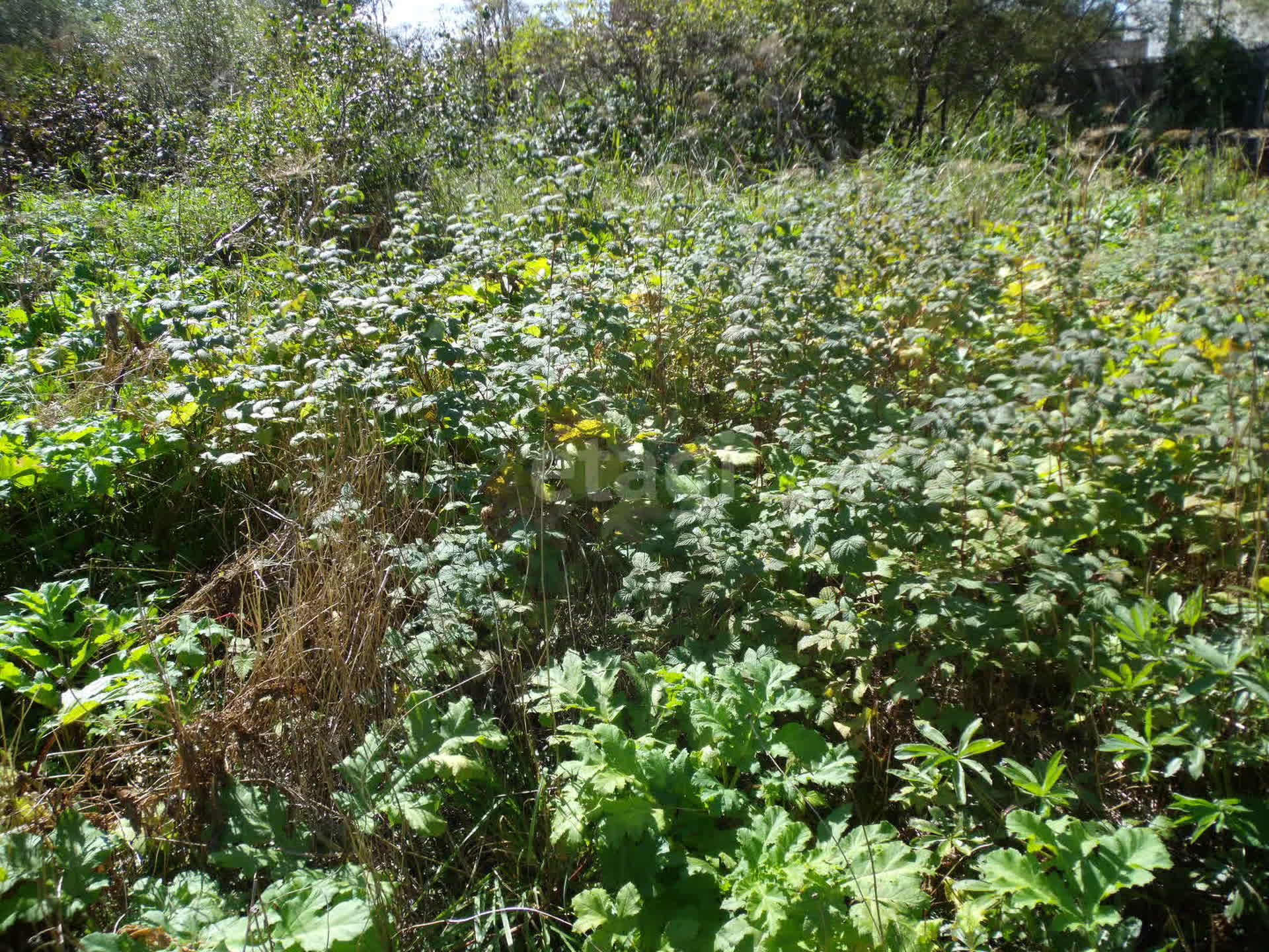 Продажа участка, Южно-Сахалинск, Сахалинская область,  