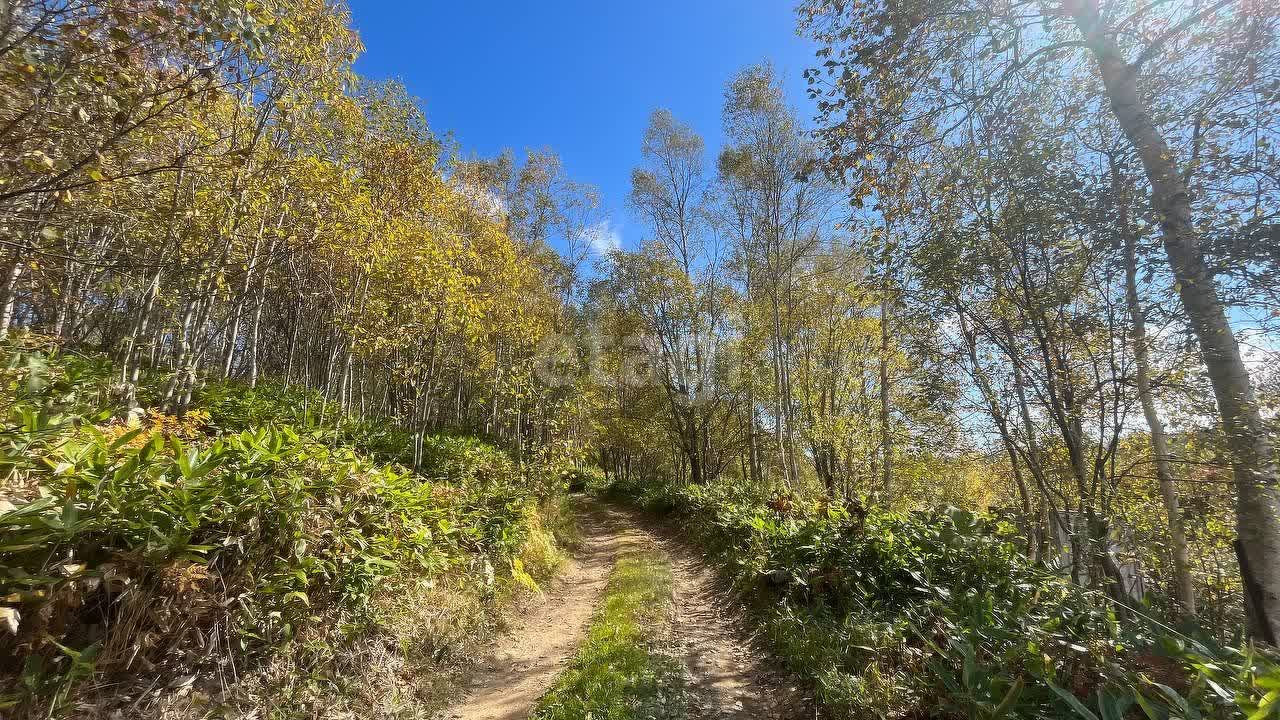 Продажа дачи, 30м <sup>2</sup>, 11 сот., Южно-Сахалинск, Сахалинская область,  