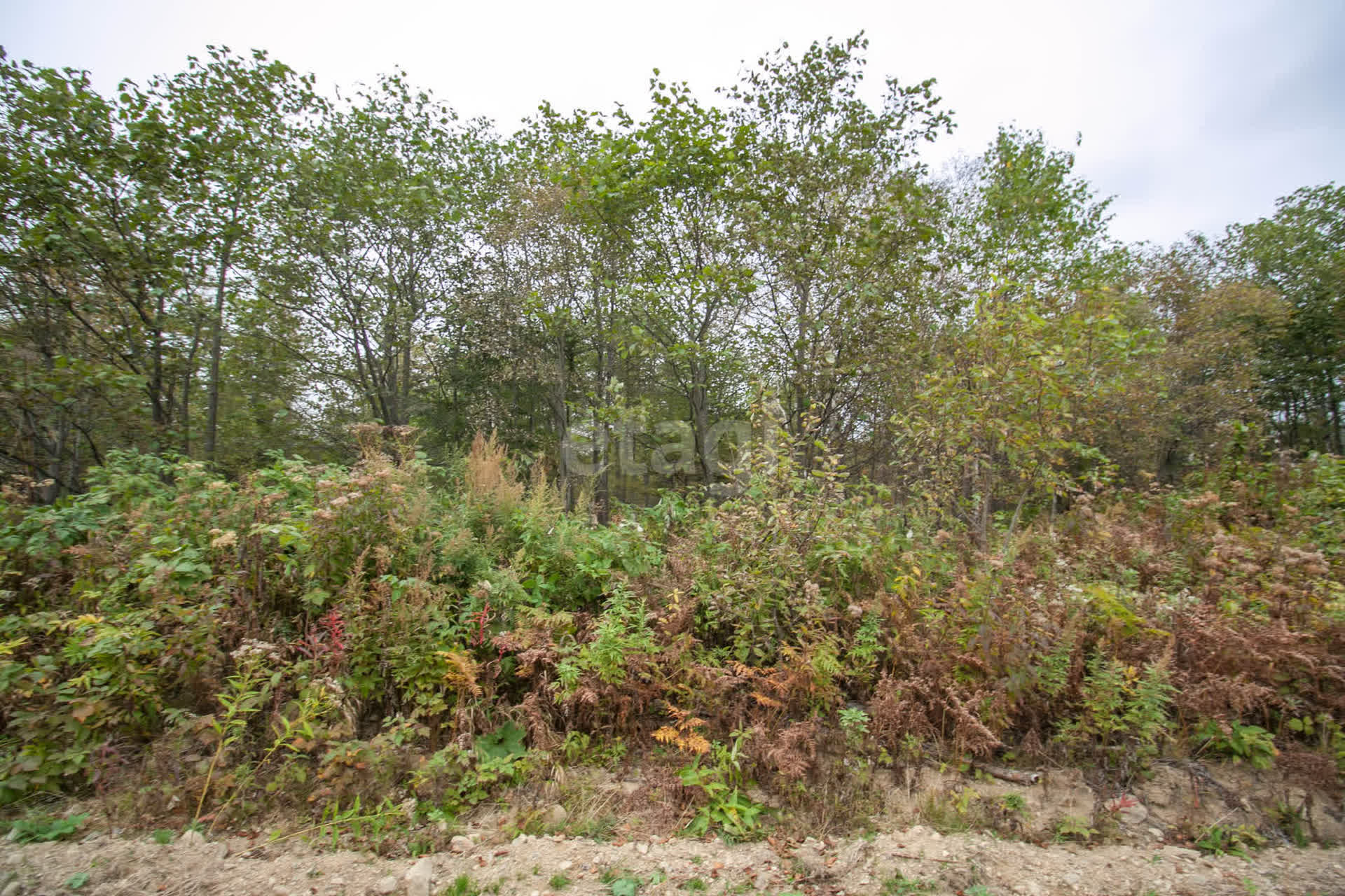 Продажа участка, Южно-Сахалинск, Сахалинская область,  Южно-Сахалинск